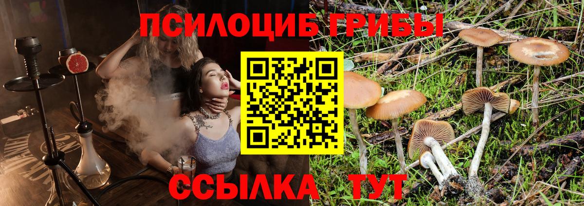 Галлюциногенные грибы MAGIC MUSHROOMS Лабытнанги