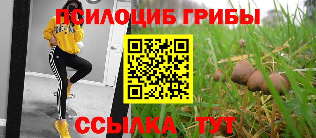 Лабытнанги  Галлюциногенные грибы MAGIC MUSHROOMS  Вход с VPN  Псилоцибиновые грибы Psilocybe 